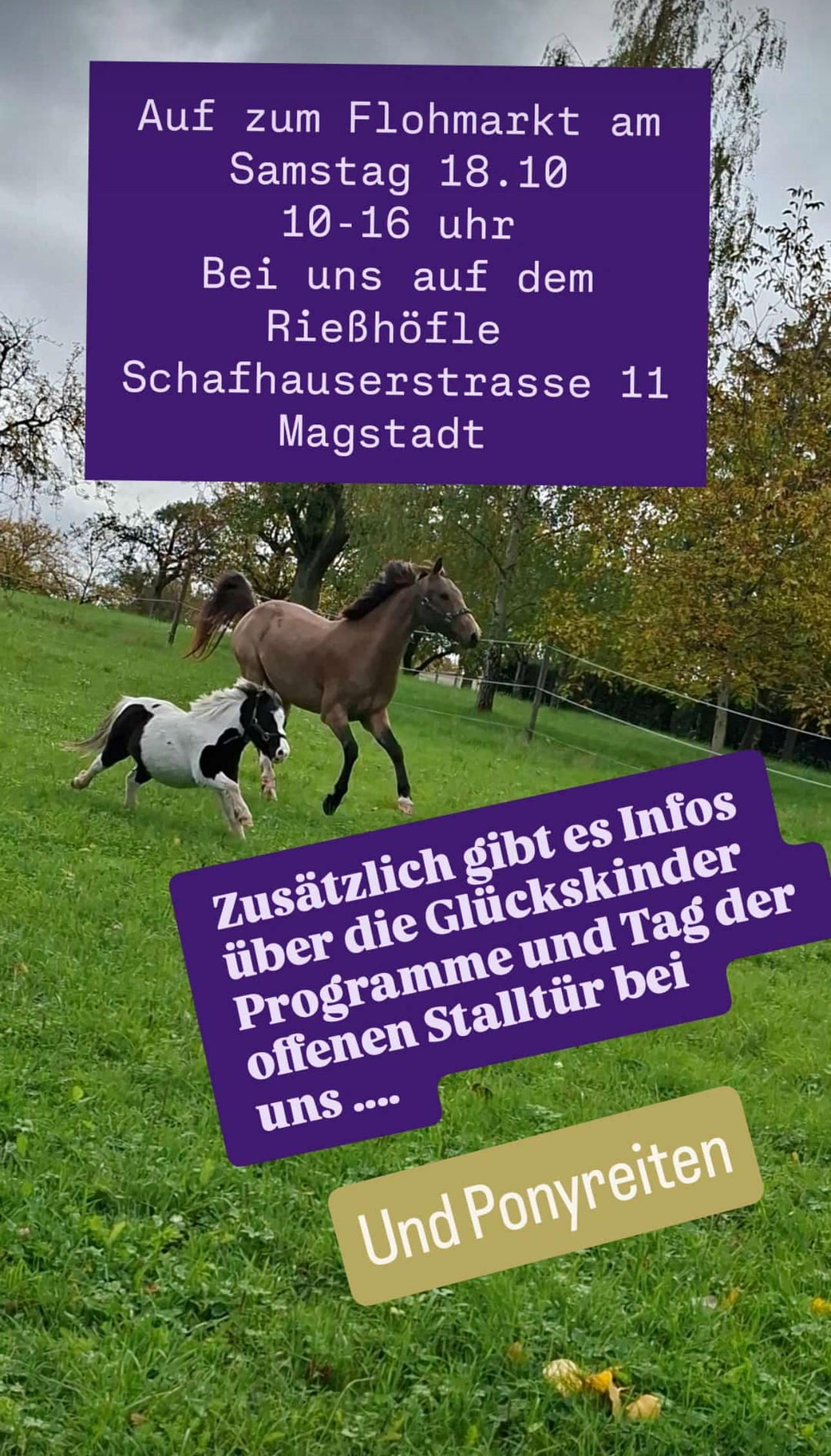 Event-Hinweis